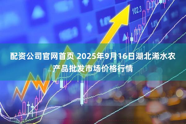 配资公司官网首页 2025年9月16日湖北浠水农产品批发市场价格行情