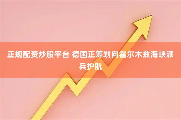 正规配资炒股平台 德国正筹划向霍尔木兹海峡派兵护航
